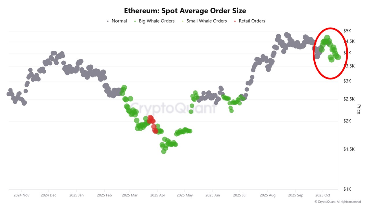 以太坊进入供应紧缩阶段,暗示可能迎来新一轮牛市周期